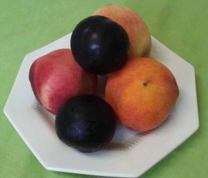 Фрукты. Слива и персик.
