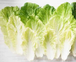 Пекинская капуста листья